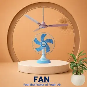 Fans